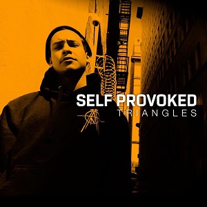 self-provoked-triangles-album