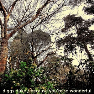 because-you-re-so-wonderful