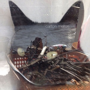 carlton-melton-hidden-lights