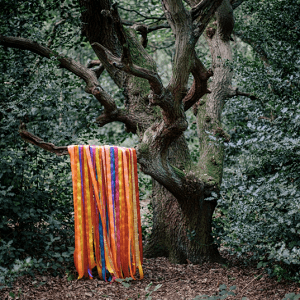 James-Holden-The-Animal-Spirits-Pass-Through-The-Fire